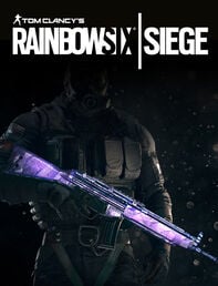 Tom Clancy's Rainbow Six Siege - 자수정 무기 스킨